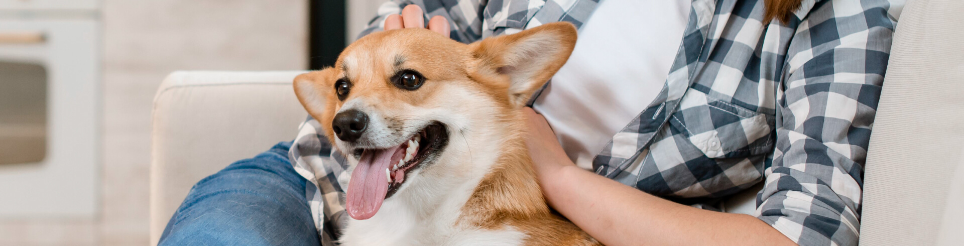 Los mejores consejos para el cuidado de tu perrito