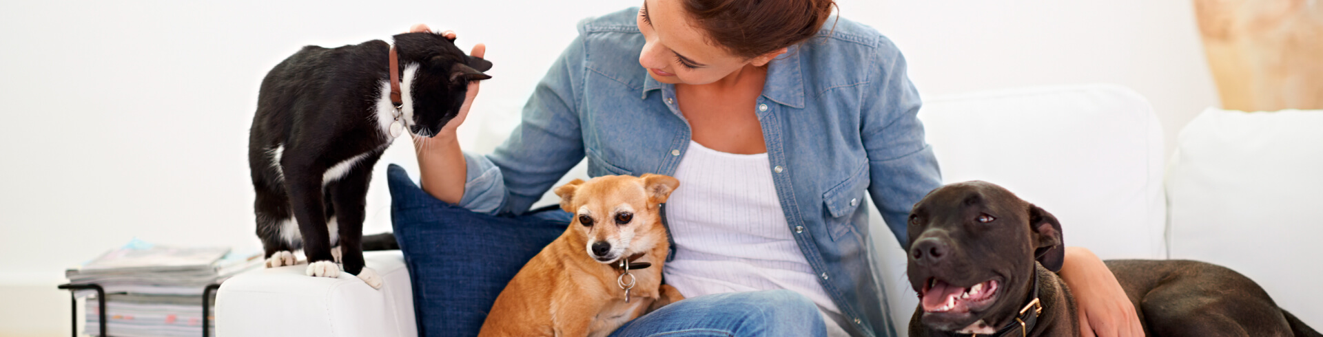 CanAmor ¡El mundo ideal para el cuidado de tu mascota!