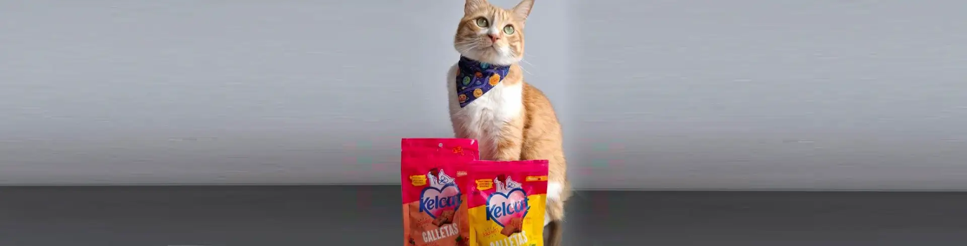 Galletas para gatos Kelcat