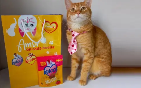 Lee más sobre el artículo Galletas para gatos Kelcat: La solución deliciosa para el control de bolas de pelo en gatos