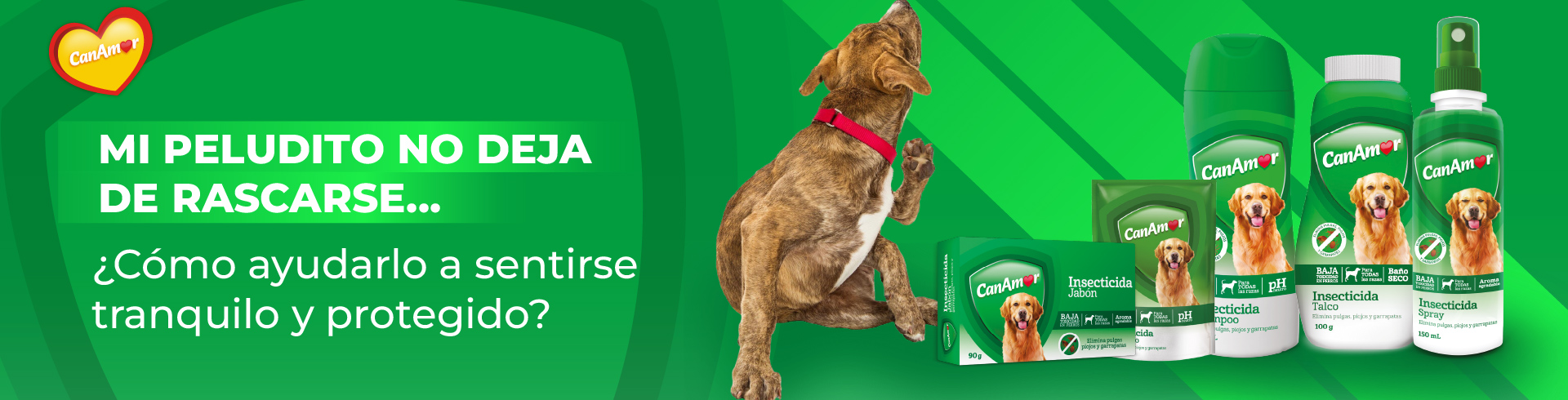 ¿Por qué mi perro se rasca mucho? Señales, causas y cómo cuidar su piel con amor
