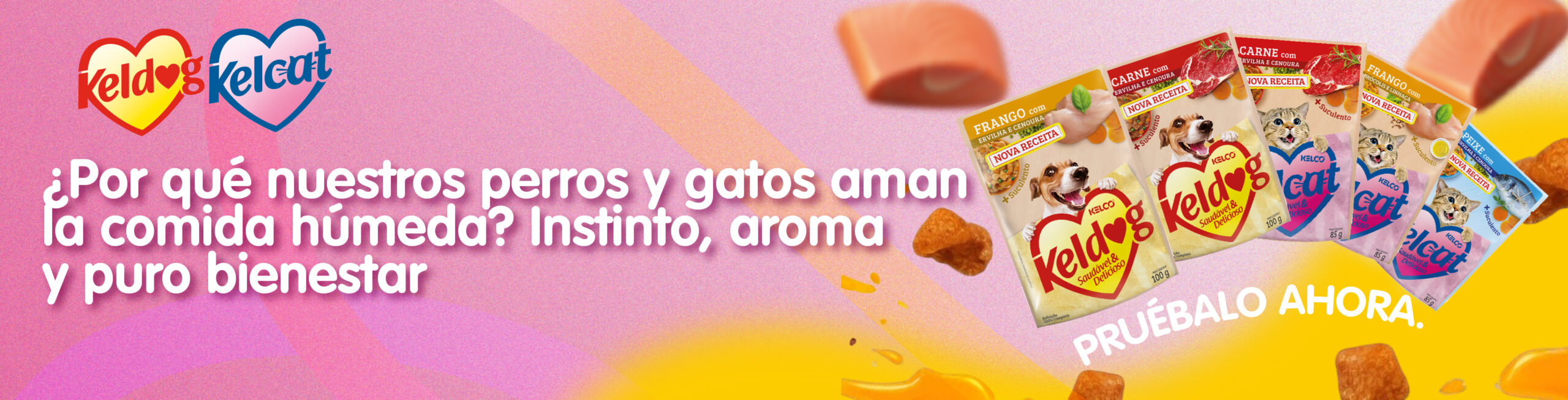 Comida húmeda para perros y gatos: ¿Por qué les gusta tanto y cómo cuida su salud?
