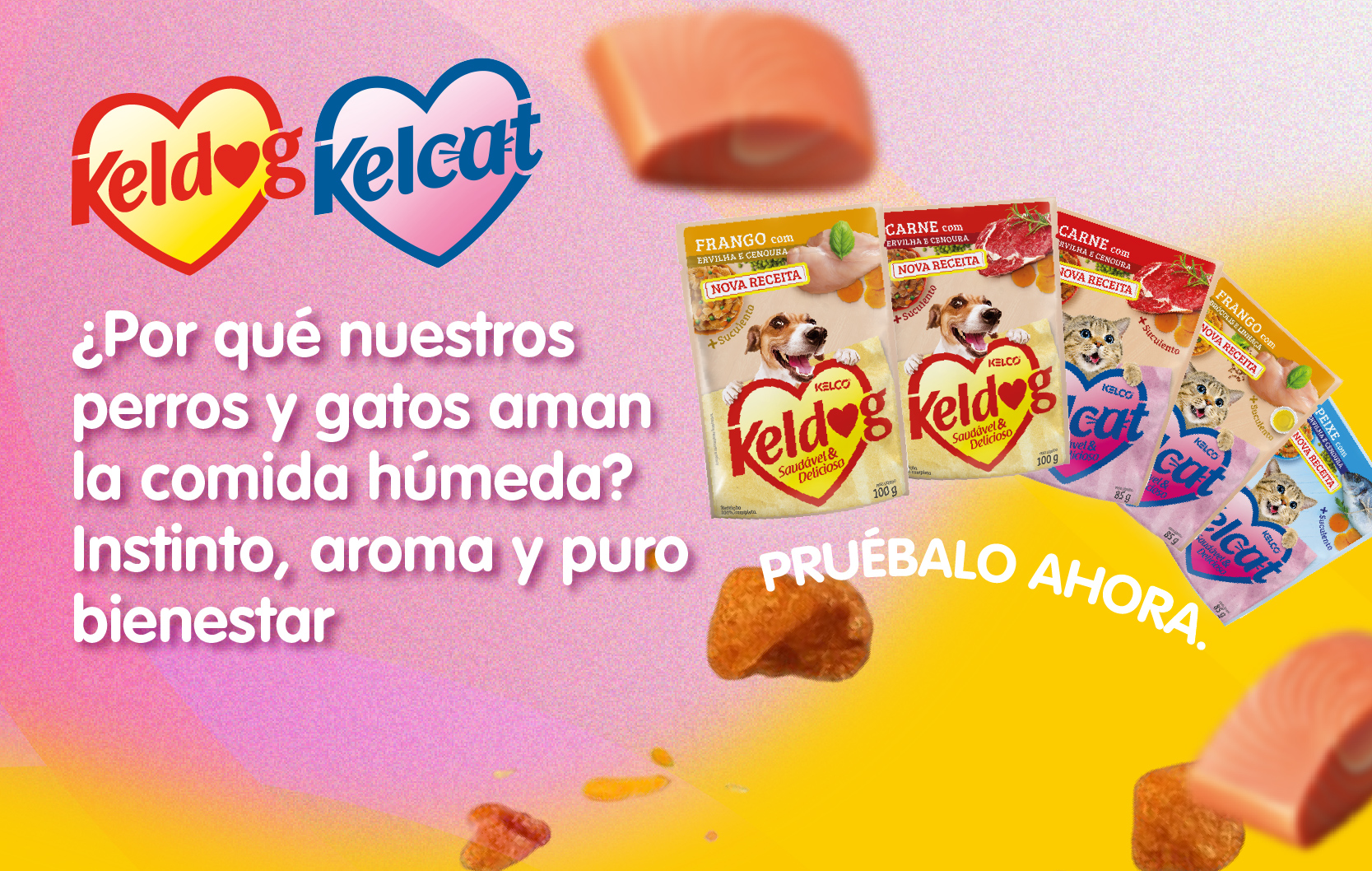 Comida húmeda para perros y gatos: ¿Por qué les gusta tanto y cómo cuida su salud?