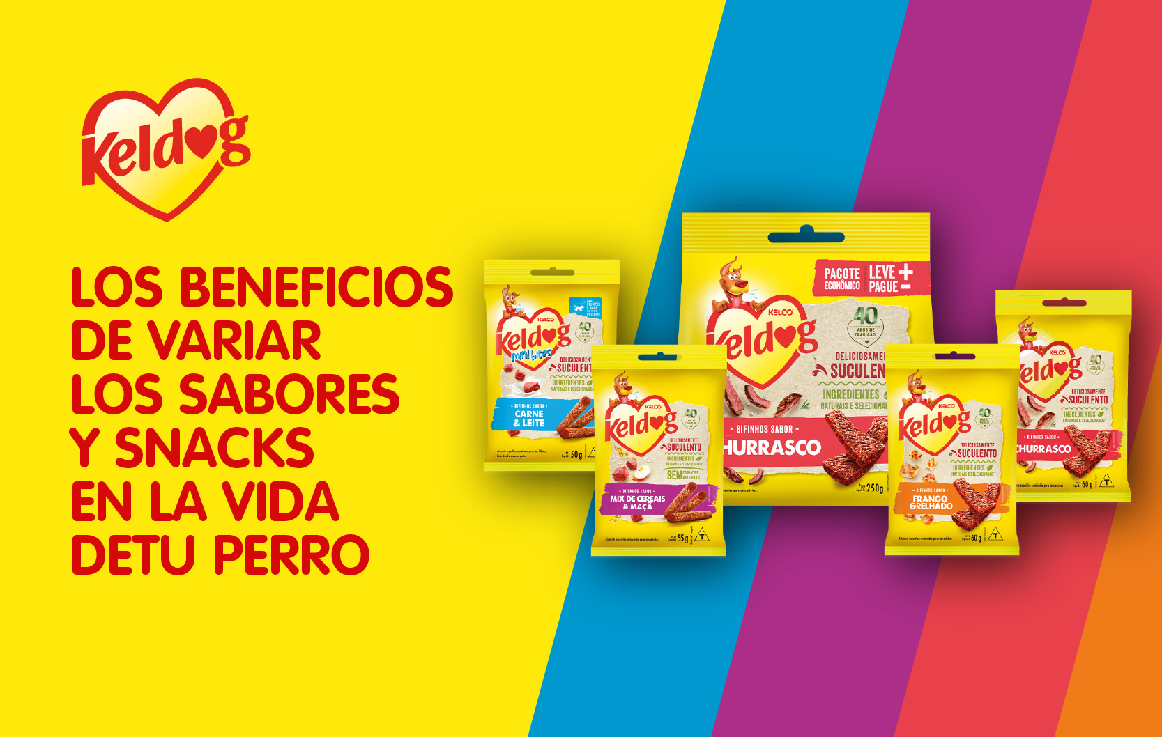 Lee más sobre el artículo Mucho más que un premio: los beneficios de variar los sabores y snacks en la vida de tu perro